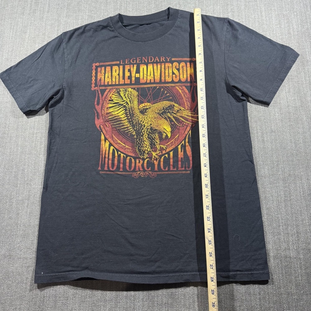 Harley-Davidson Shirt Mens Large Gray Eagle Brunswick Troy NY Motorcycle Tee - Picture 4 of 7